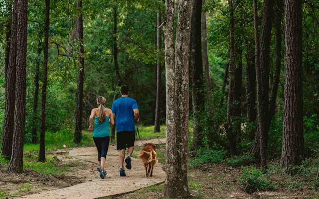 Popular Neighborhoods in Humble and Atascocita
