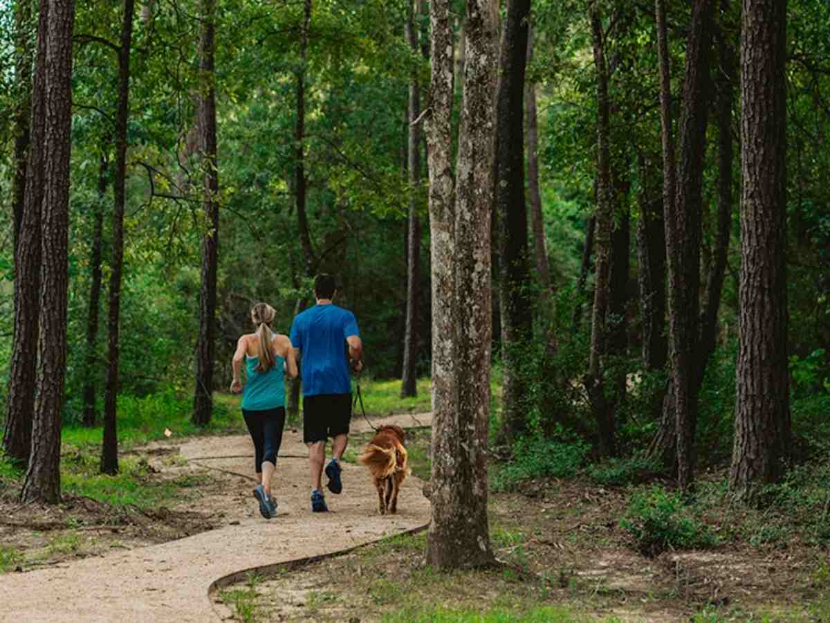 2 people jogging with their dog on a path that winds through pine trees at The Grove for article Popular Neighborhoods in Humble and Atascocita for newcomers moving to Houston or relocating within Houston.