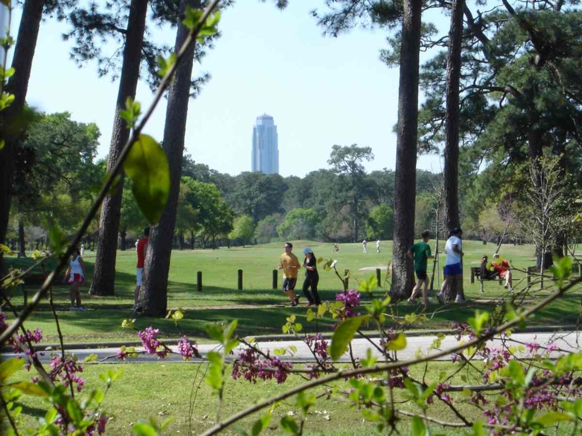 People jogging in Memorial Park Houston for article Washington Corridor and Rice Military for newcomers moving to Houston area.