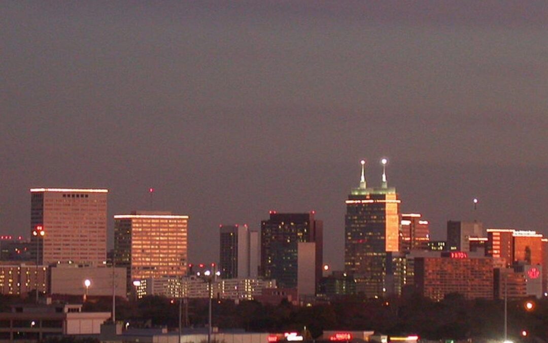 The Texas Medical Center