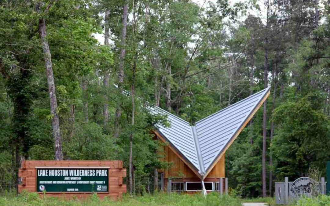 Discover Tranquility at Lake Houston Wilderness Park