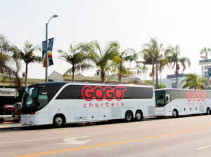 Picture of 2 buses for GOGO Charters