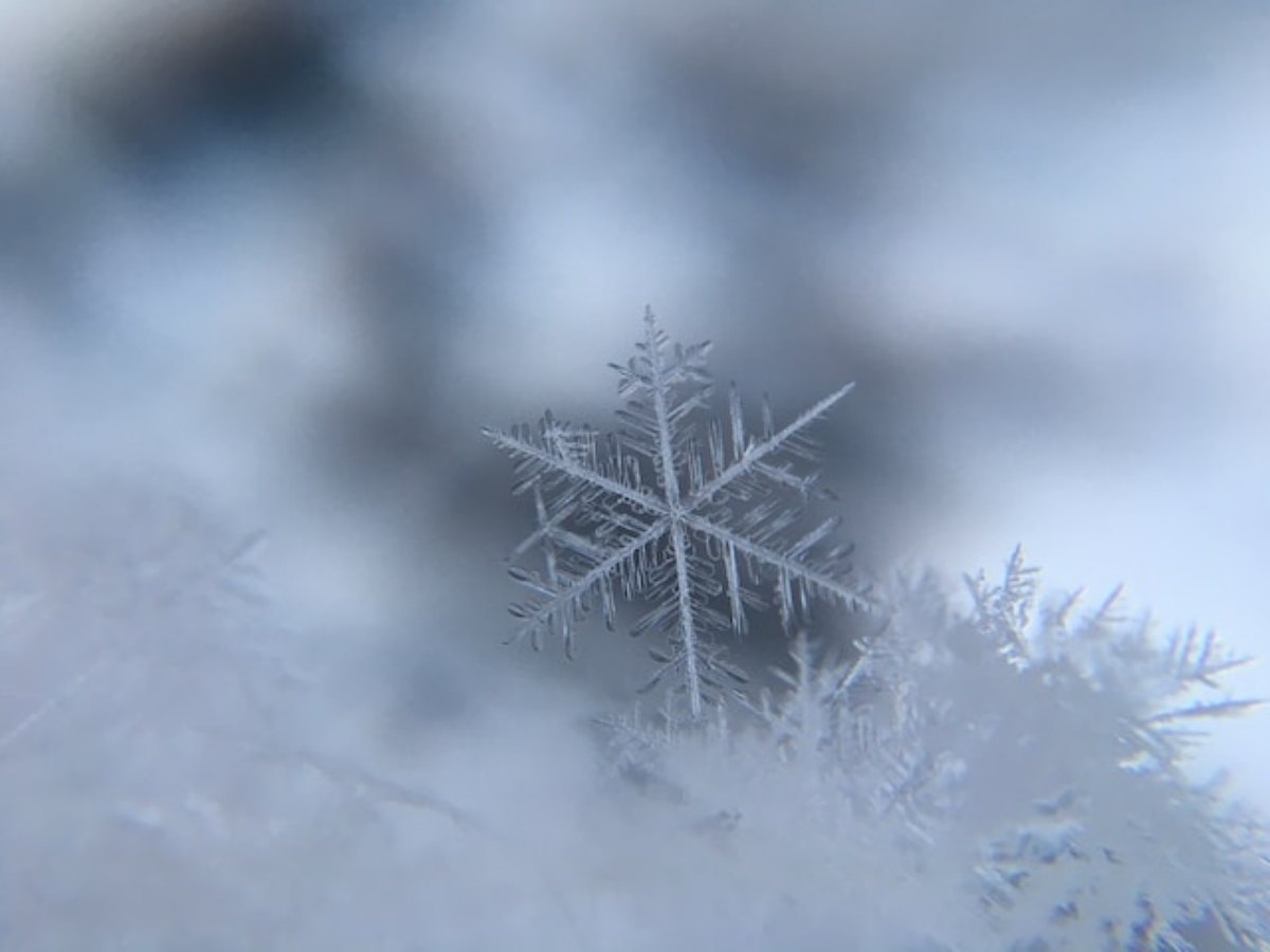 The perfect snowflake for article Things To Do this Holiday Season in Houston