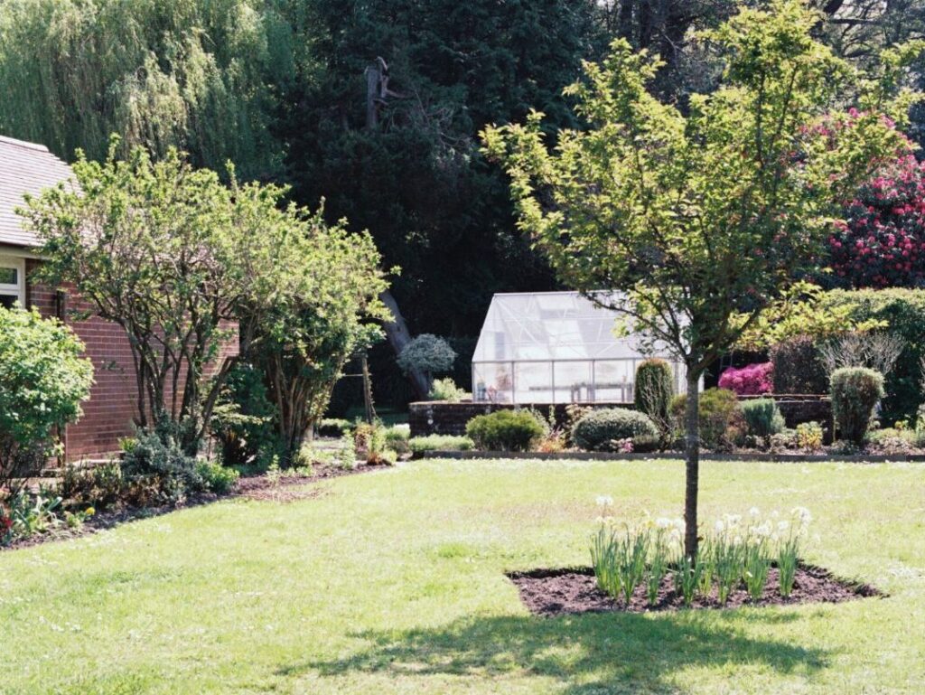 a beautiful lawn with small trees and bushes in front of a greenhouse on a sunny day