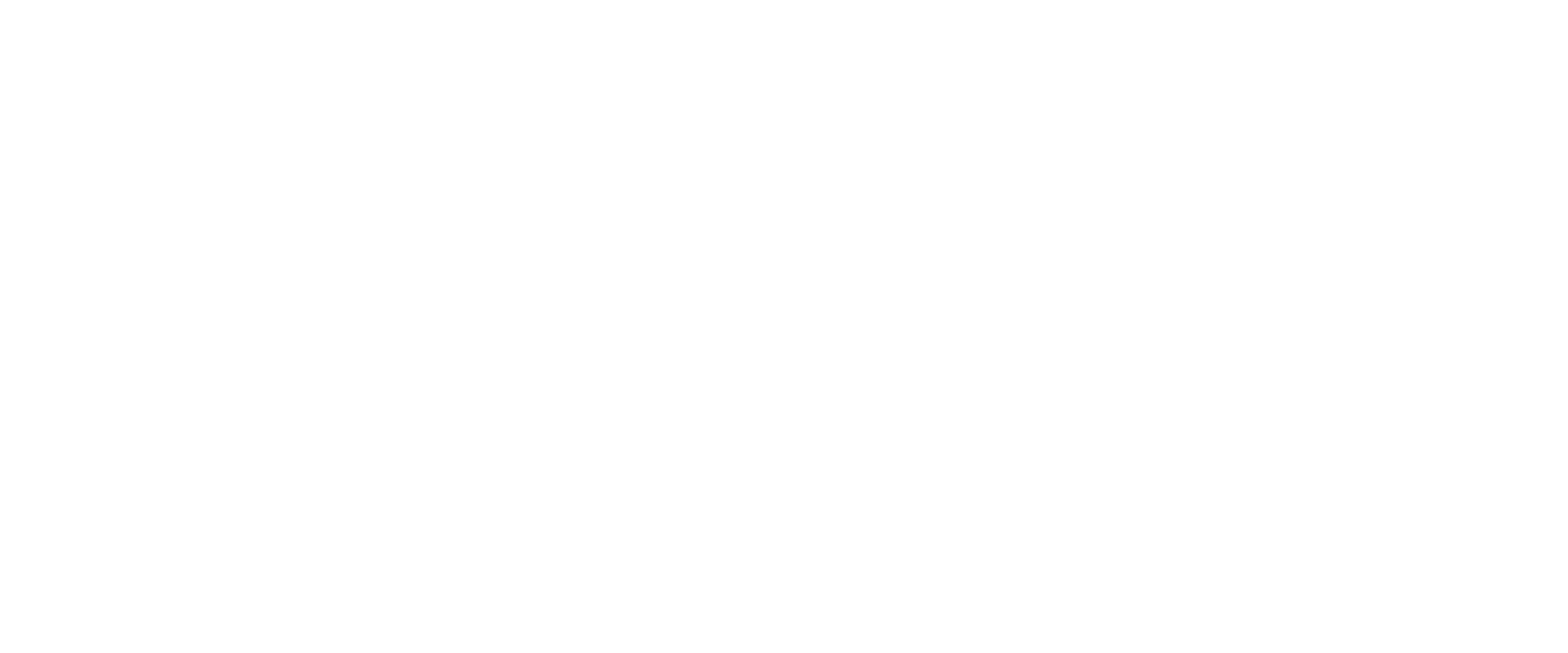 Houston Newcomer Guide Logo in white