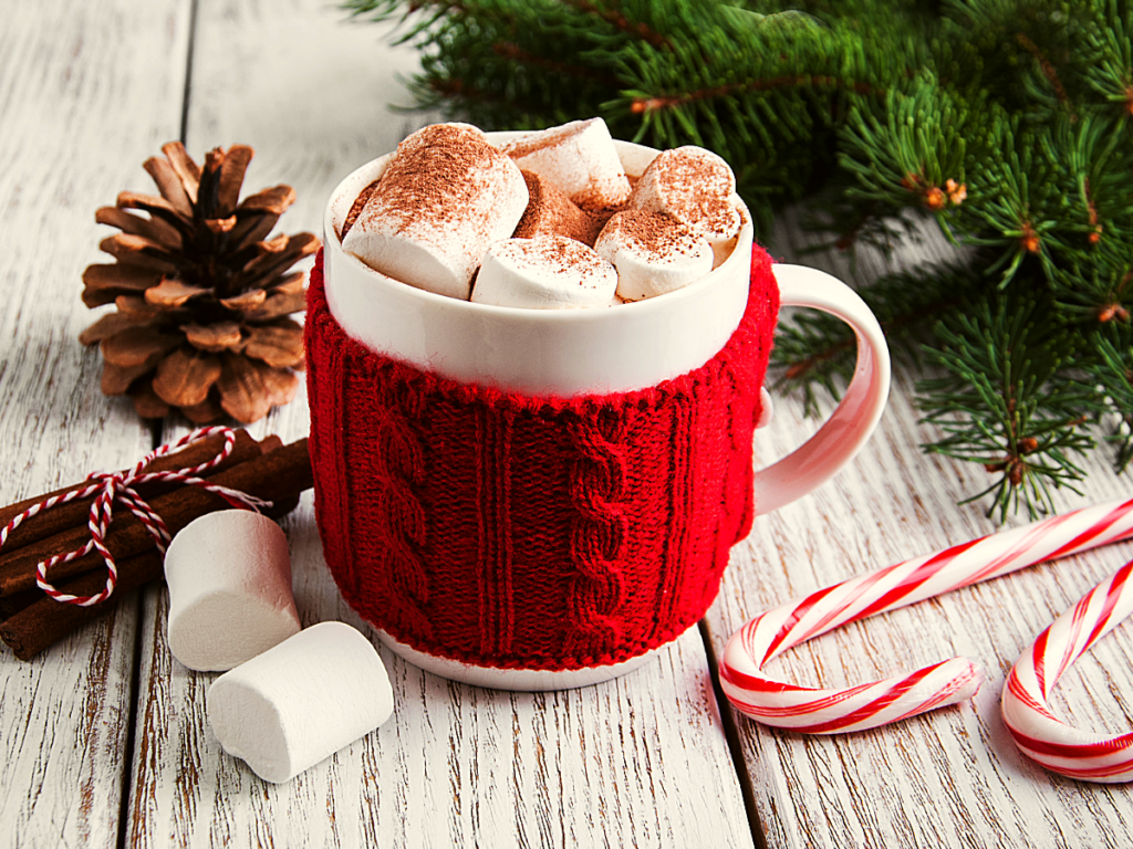 White mug with a red sweater koozie wrapped around it - Filled with coffee with marshmellows on top sprinkled with cinnamon. Pinecones, marshmellows, candy canes, cinnamon sticks, and pine surround the mug of coffee for article The 12 Best Coffee Shops in Houston for Newcomers moving to Houston.