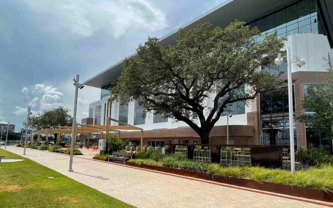 Houston Job Market Trends
