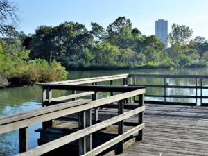 Hermann Park - things to do in Houston on Labor Day
